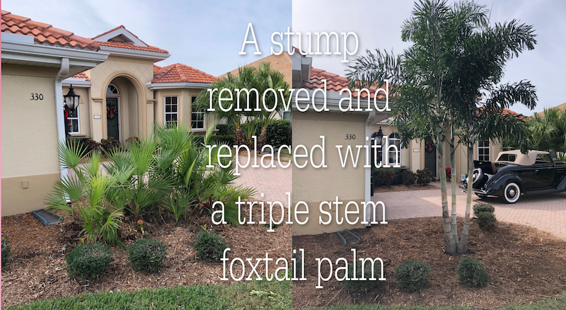 Gallery | Native Stump Grinding