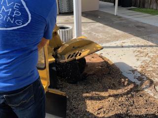 Sarasota Stump Grinding