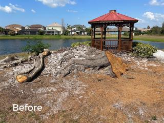 Gazebo Before
