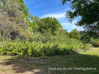 Land and Brush Clearing Before